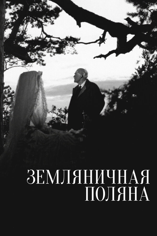 Земляничная поляна 1957 постер